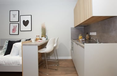 Bronze Studio, Gulson Gardens, Gulson Road, Coventry University, Coventry - Image 3